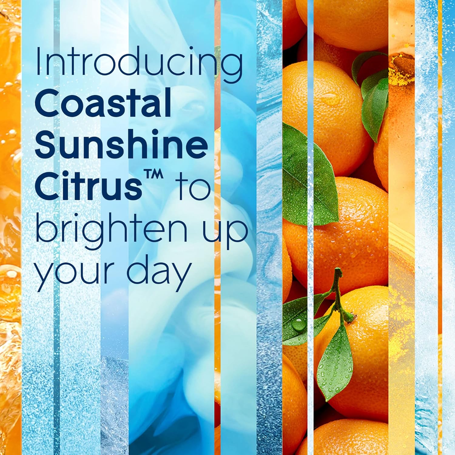 Glade Scented 3-Wick Candle Jar, Coastal Sunshine Citrus, Fragrance Infused with Essential Oils, 6.8 oz